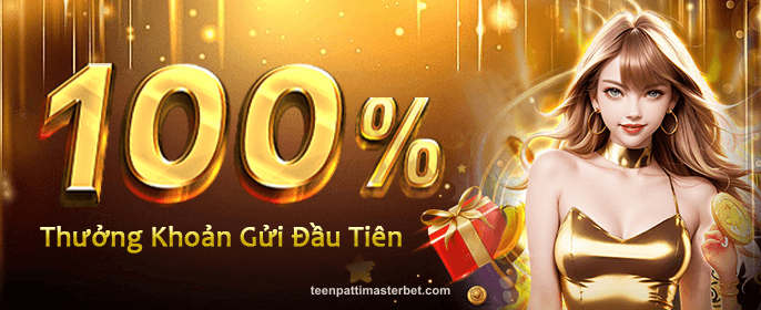 VN1 Special Offer