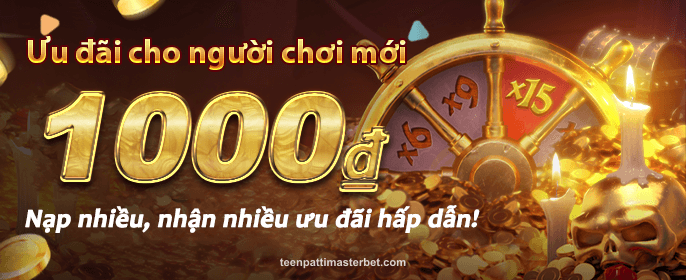 VN6 Promotion